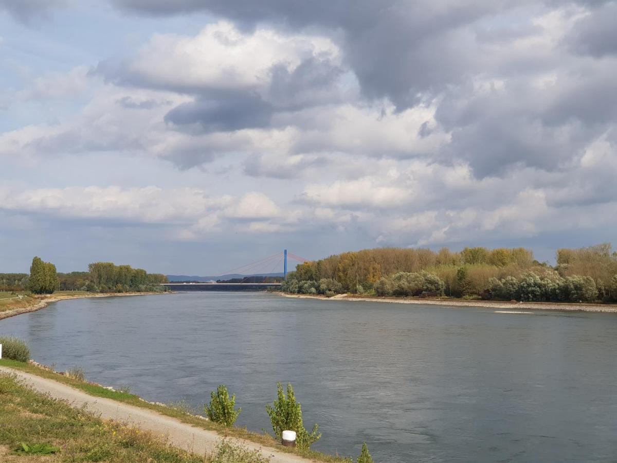 슈파이어 Wohnen Direkt Am Rhein, Zentrums- Und Domnah, 55Qm 아파트 외부 사진